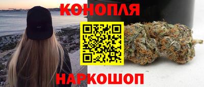 гидра Краснокаменск