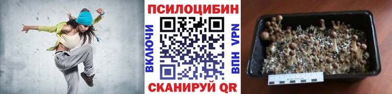Псилоцибиновые грибы ЛСД Геленджик
