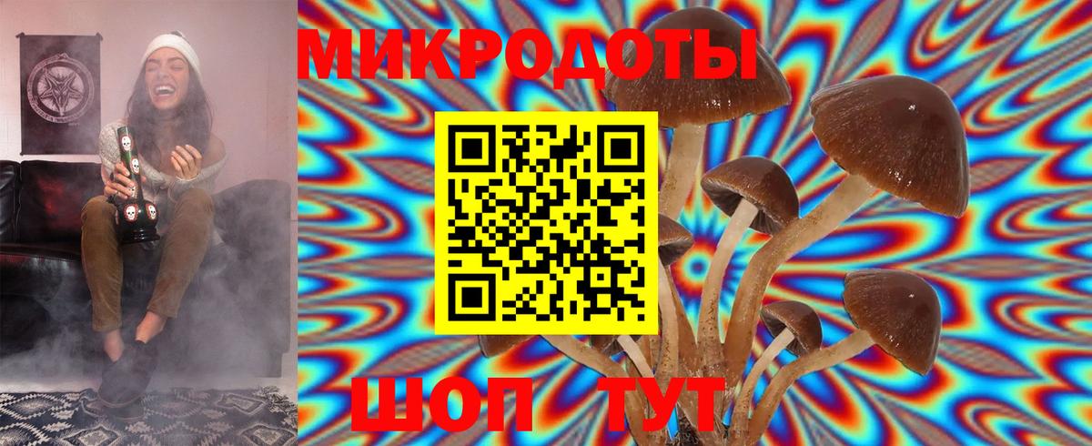 Псилоцибиновые грибы Cubensis Геленджик