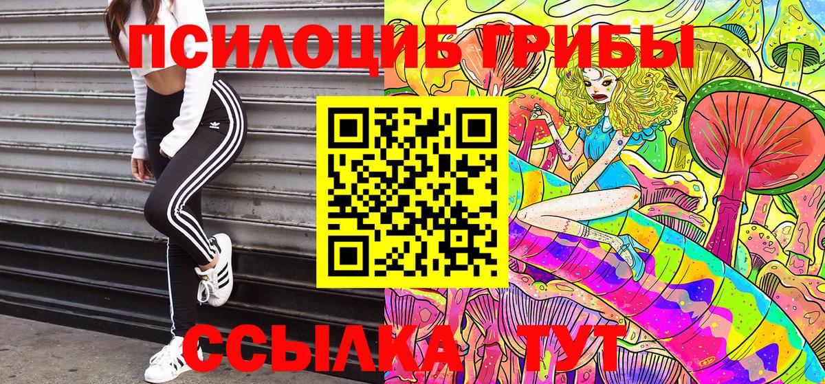 Геленджик  Псилоцибиновые грибы Psilocybe  Вход с VPN 