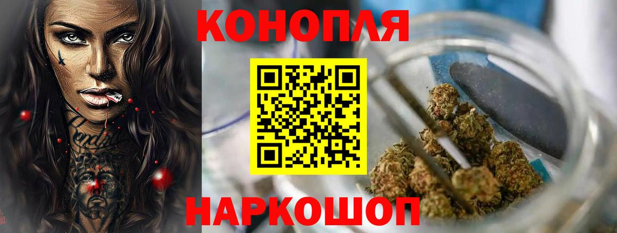 Каннабис план Геленджик